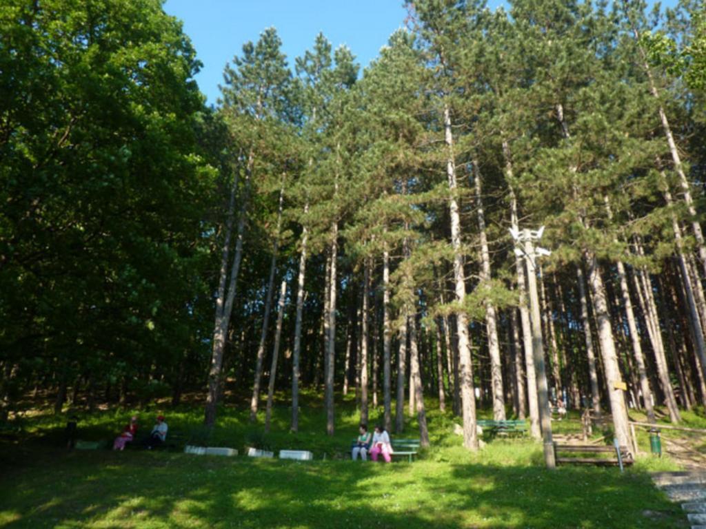 Guesthouse Edelnice Gornja Trepca Ngoại thất bức ảnh