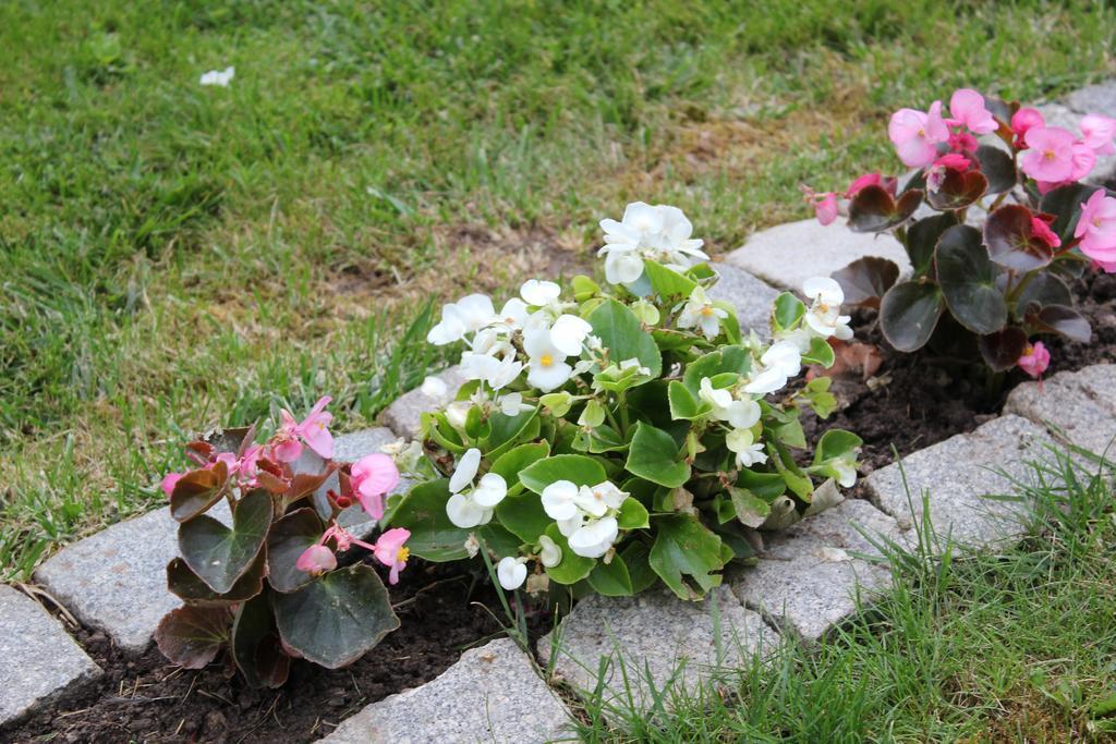 Guesthouse Edelnice Gornja Trepca Ngoại thất bức ảnh