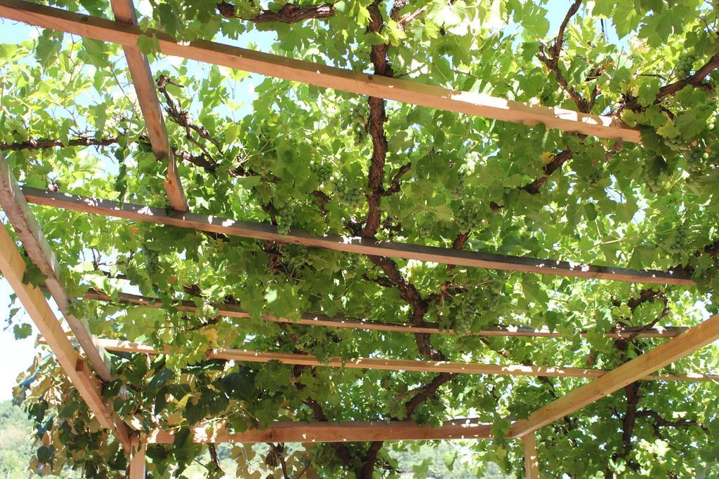 Guesthouse Edelnice Gornja Trepca Ngoại thất bức ảnh