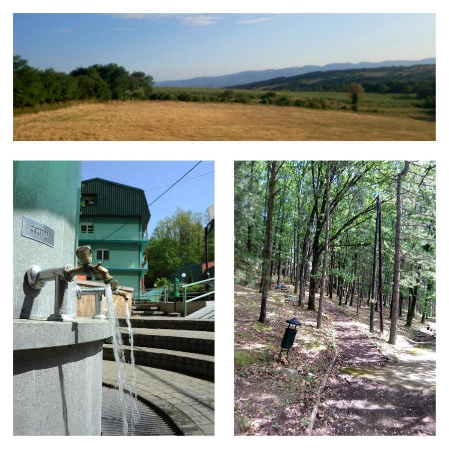 Guesthouse Edelnice Gornja Trepca Phòng bức ảnh